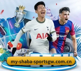 五大服务分区,信息按项目分类